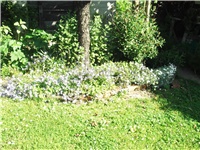 458f1323-Picture 030.jpg